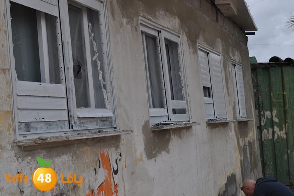 kaneswa7akhdra2lud316 (5).JPG